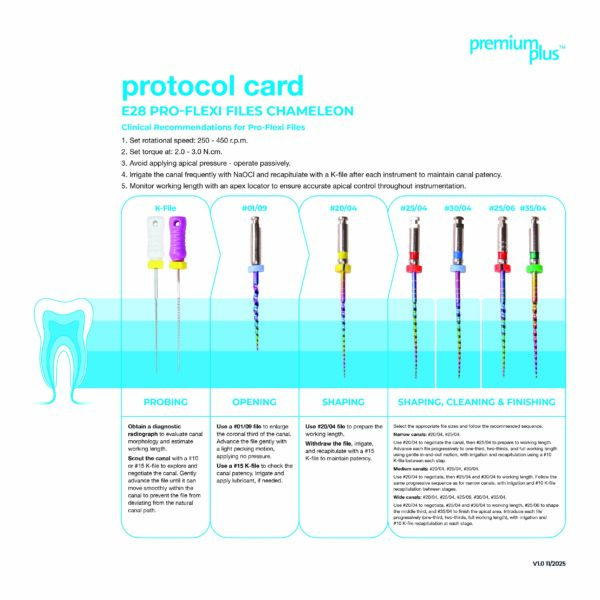 Endo Files Procedure Cards_e28_web